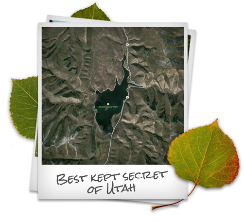 Visit the Scofield Area, Utah's Best Kept Secret