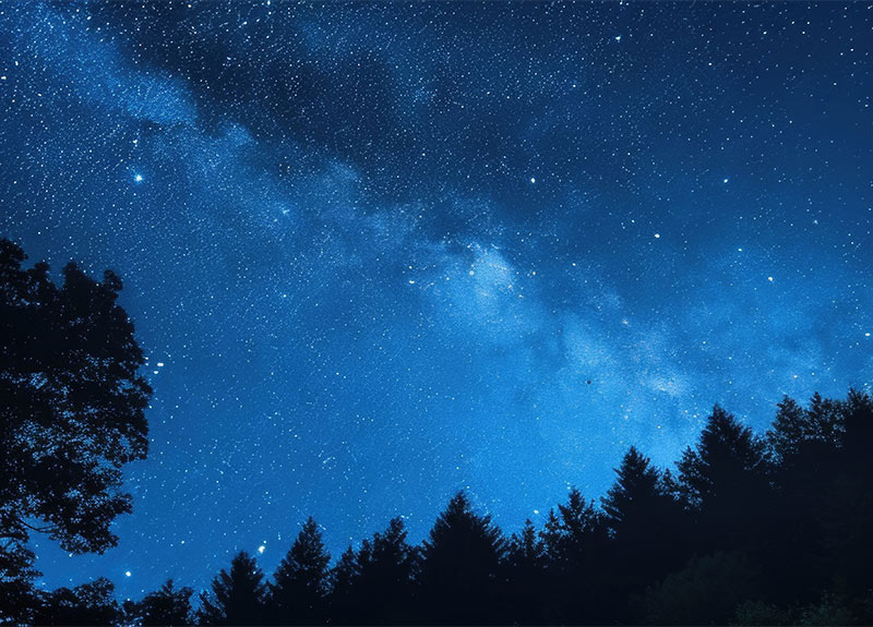 Dark Sky Stargazing